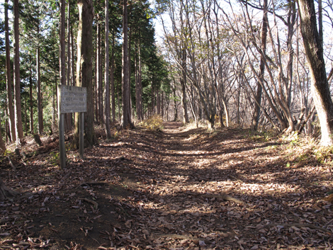 20181115hike (153)